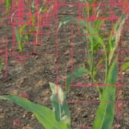 Synthetic Image Annotation