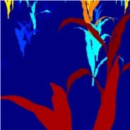 Synthetic Image Annotation