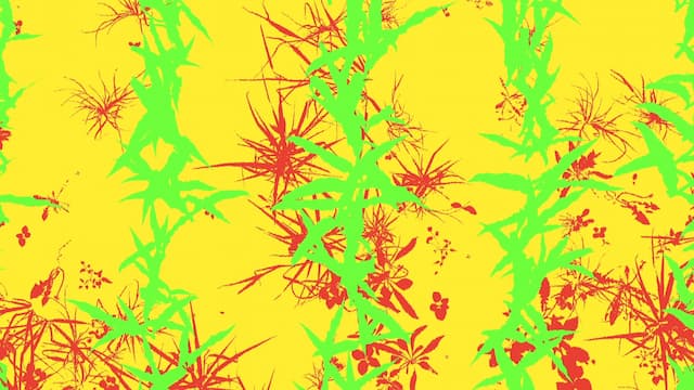 Synthetic Maize Plants